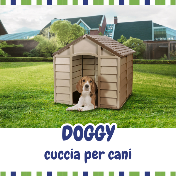 Doggy